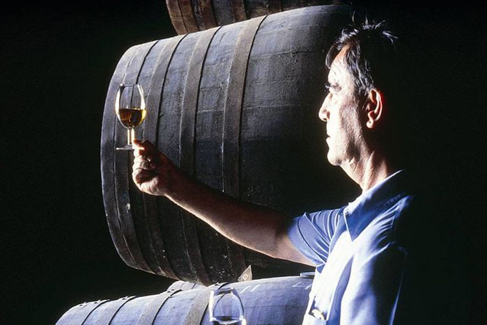 Image for El vino que vino de Jerez

