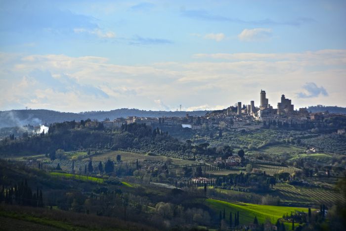 Image for Where the forest echoes: walking along the Via Francigena
