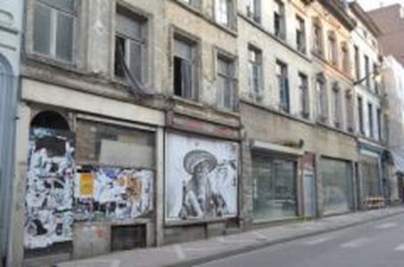 Image for Brusselization