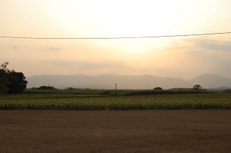 Image for Choisir son agriculture... à quel prix ?