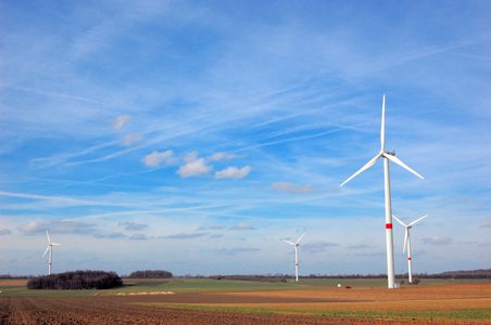 Image for Europe begins to go green
