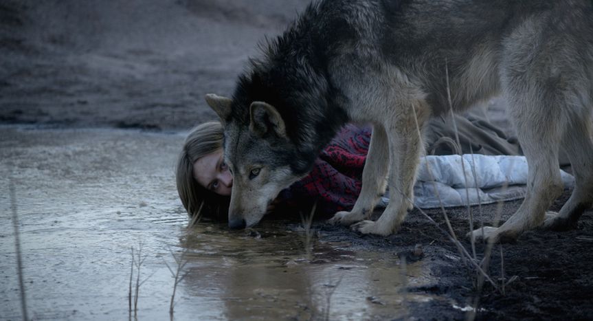 Image for Elle a vu le loup - "Wild" de Nicolette Krebitz