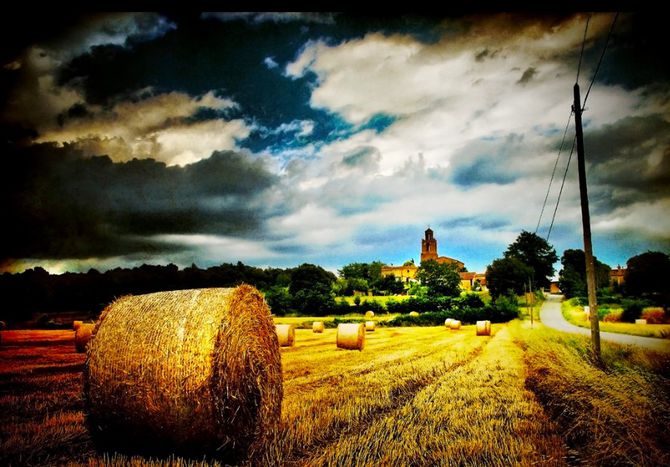 Image for Tour d'Europe des cultures de saison