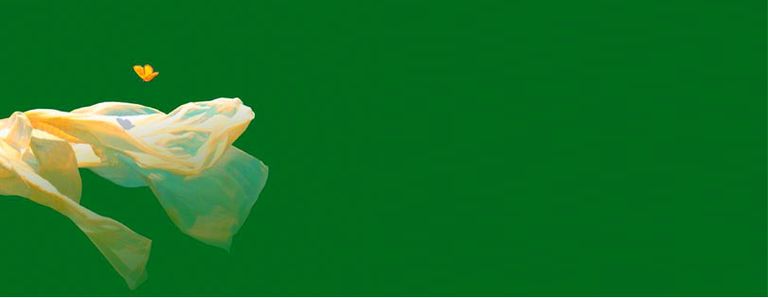 Image for Premio Nobel de Literatura 2011: El top 5 europeo