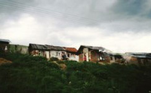 Image for The suffering of the Roma
