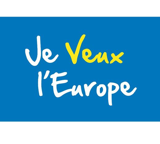 Image for Et vous, vous voulez quelle Europe ?