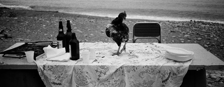 Image for Letizia Battaglia : Palerme à feu et à sang