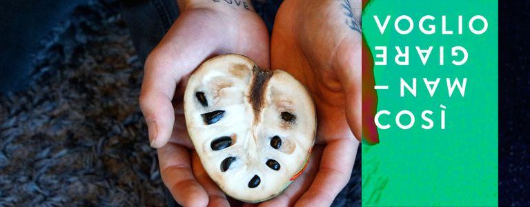 Image for From meat-eating fitness freak to fruitarian
