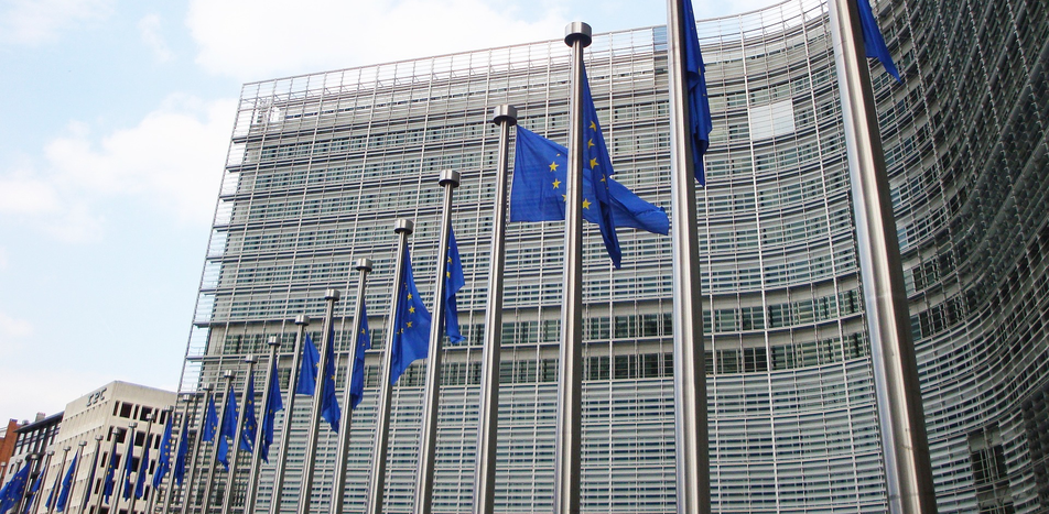 Image for La mobilisation de la droite en Europe