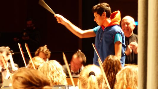Image for Einklang in der EU? Das European Union Youth Orchestra zeigt wie