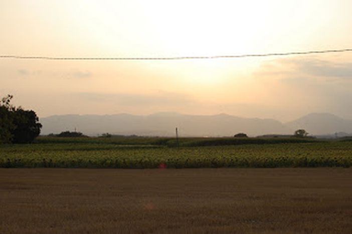 Image for Choisir son agriculture... à quel prix ?