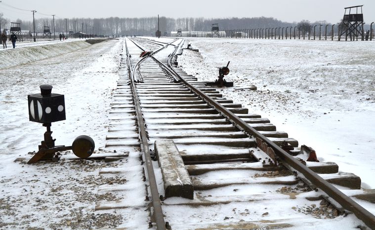 Image for Auschwitz: Gegen das Vergessen
