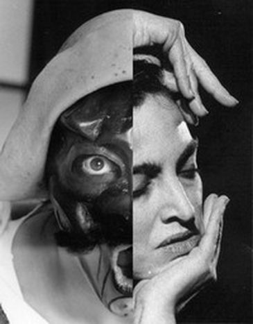 Image for Claudia Contin, Arlecchino errante
