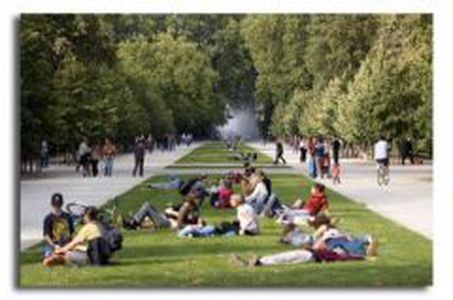Image for Wird Brüssel zu Brussels?