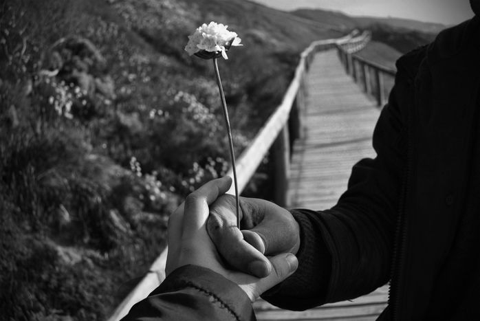 Image for Second home - first love