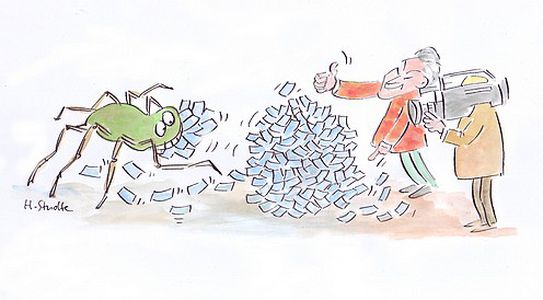 Image for Spinnen bringen Geld
