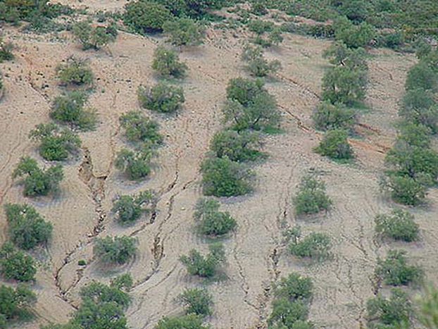 Image for Focus : La Spagna a secco
