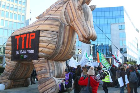 Image for TTIP: Istruzioni per l'uso