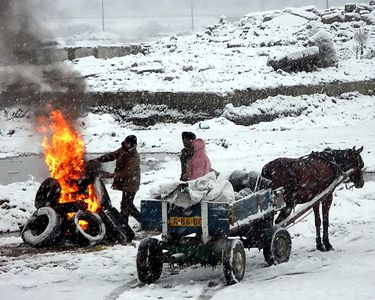 Image for Bulgaria: militanti ecologisti contro costruttori