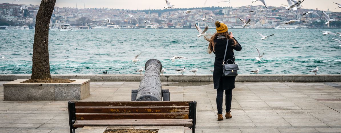 Image for Erasmus en Estambul: la universidad, la moda y la vida