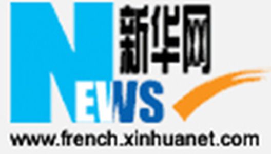 Image for Des Chinois à Bruxelles