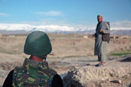 Image for La Hollande, victime de la guerre en Afghanistan