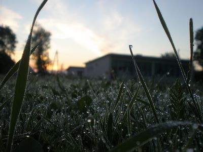 Image for Sunrise in Pärnu-Jaagupi