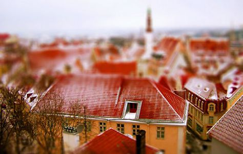 Image for Estland und e-Health: Die Gesundheit kommt über Lichtleiterkabel
