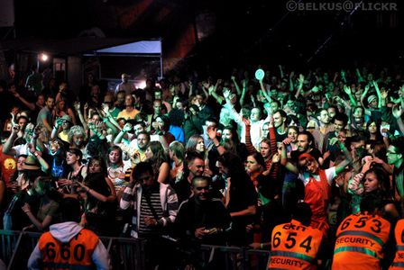 Image for Manu Chao, Sex Pistols at Serbia's EXIT (Miloševic) festival
