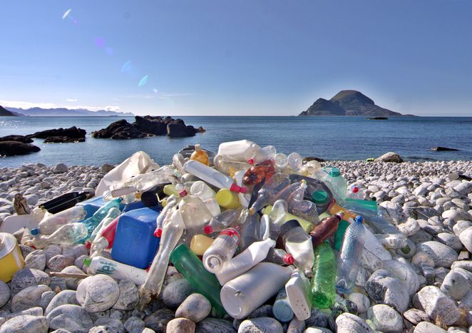 Image for UNESCO, The Ecological Peace