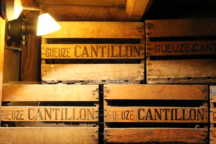 Image for When a brewer awaits cool nights
