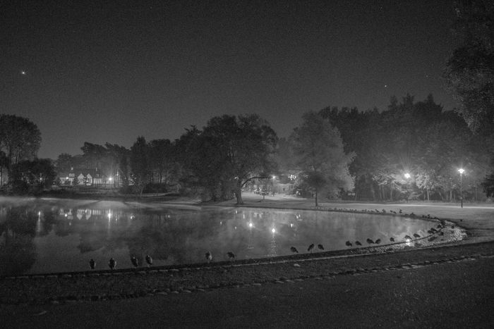Image for Bruxellois, n'ayez pas peur!