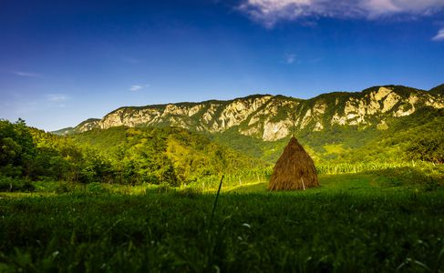 Image for Renewable Energies: between Hope and Contradictions : Part II