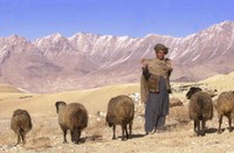 Image for 24 ore a Kabul
