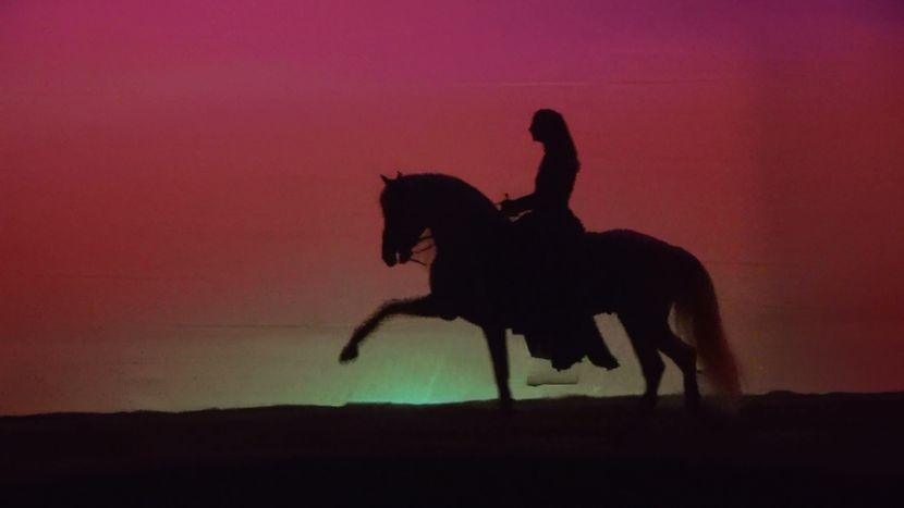 Image for [spa] CAVALIA: EL ESPECTACULO quE LO transportAra dENTRO DE universOS incrEIBLES…