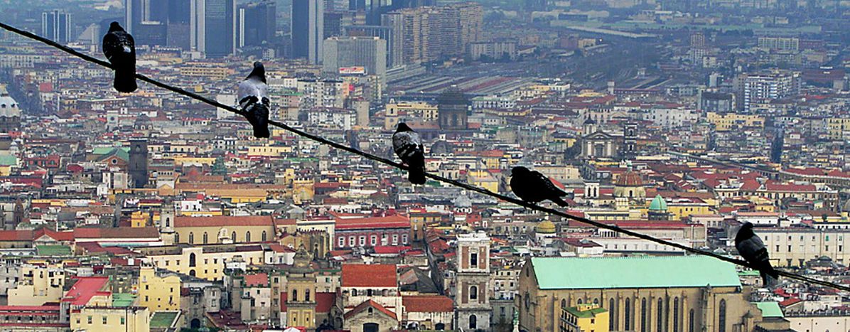 Image for La camorra tra violenza, disoccupazione e traffici internazionali