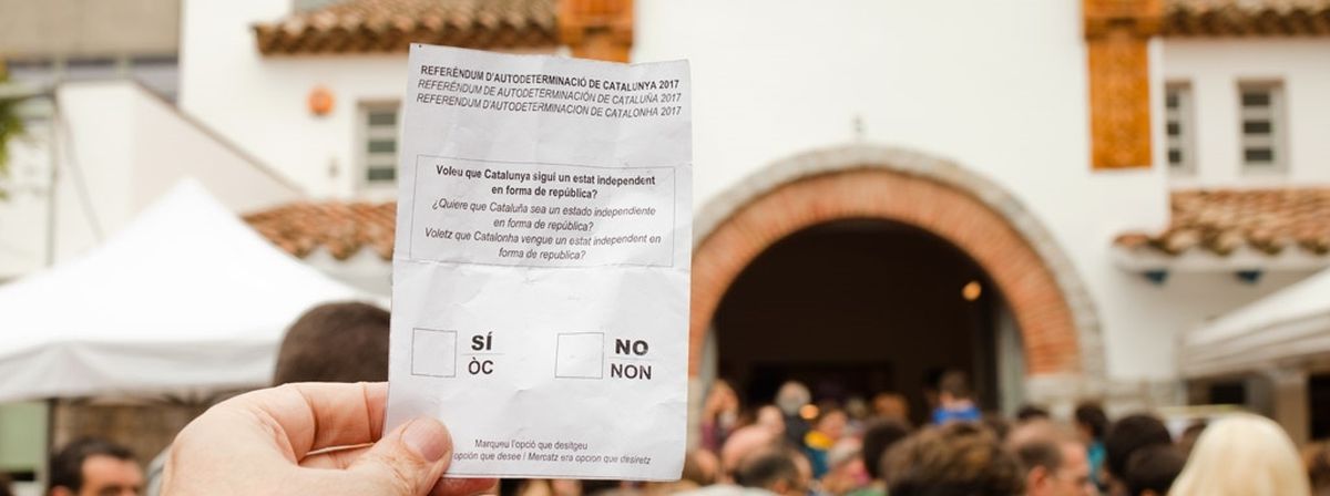 Image for A half-serious history of forgotten referenda