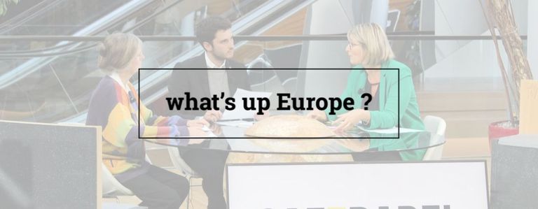 Image for Il CETA è compatibile con gli stadard europei sull'ambiente? 