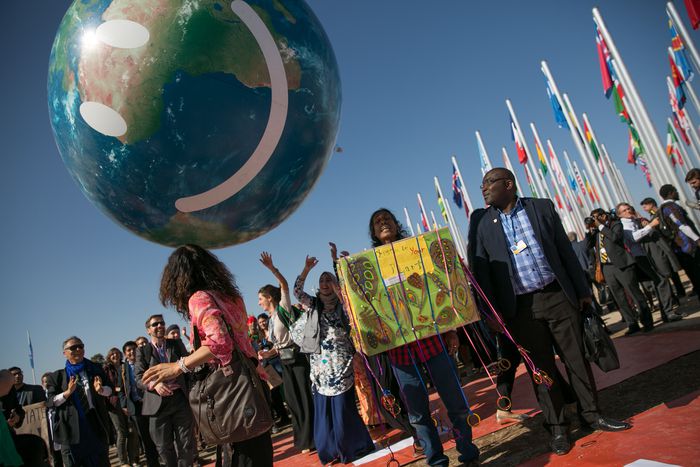 Image for Les bons côtés de la COP22