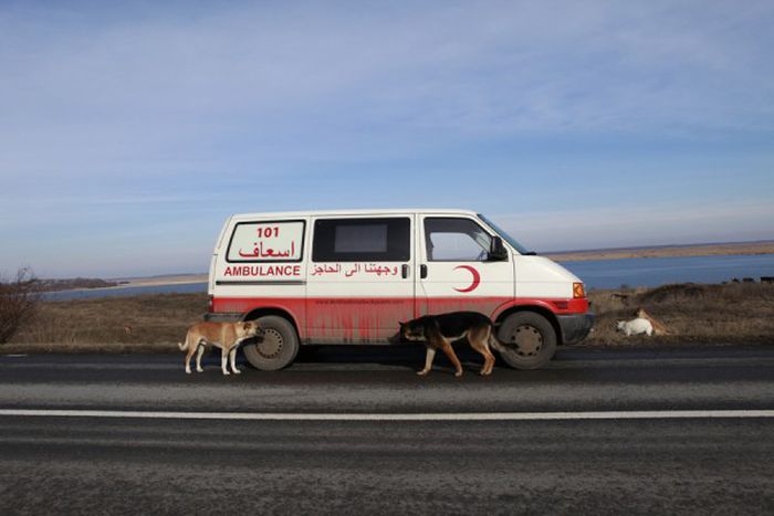 Image for Voyage : "destination Checkpoints"