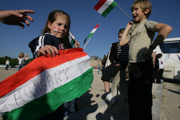 Image for Hungarian minorities in Slovakia: small arrangements between enemies