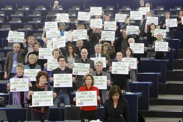 Image for UE: nuova legge sugli OGM e sull'etichettatura degli alimenti