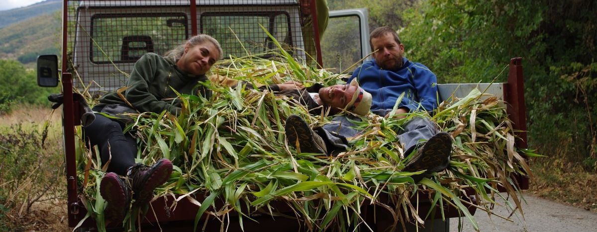 Image for Contro lo spopolamento in Bulgaria: ecco i millennials della campgna