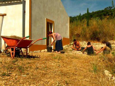 Image for Wwoofing : retour aux origines et à la nature