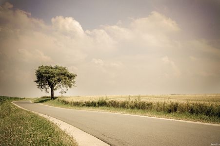 Image for Déclic Tour : sur la route de l’entrepreneuriat social