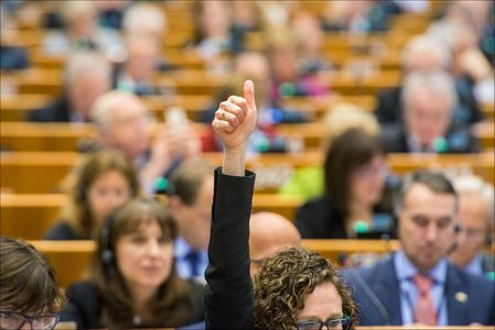 Image for Electoral Campaign with European Personalities