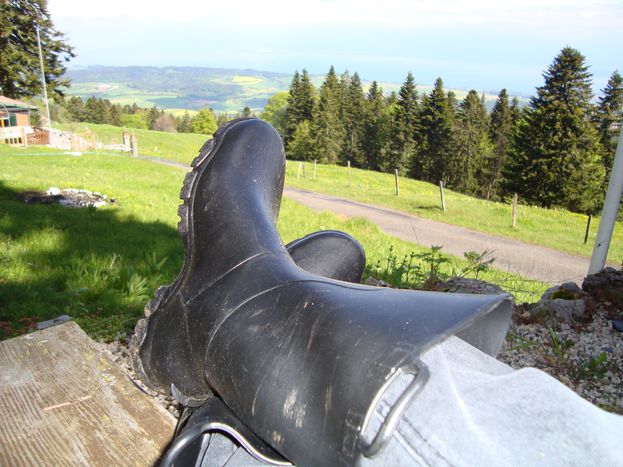 Image for Shoes