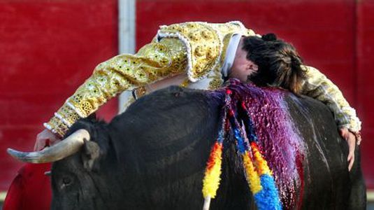 Image for “Der Vampir”: Eine fotographische Darstellung eines Toreros