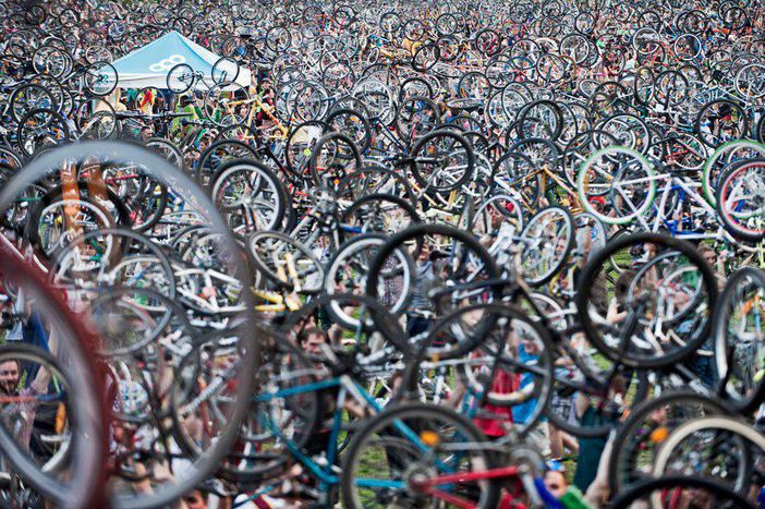 Image for Zagreb: The Bikes and the bees