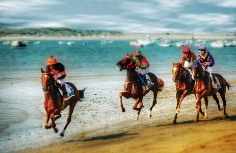 Image for Tutto “l’altro” sport di agosto
